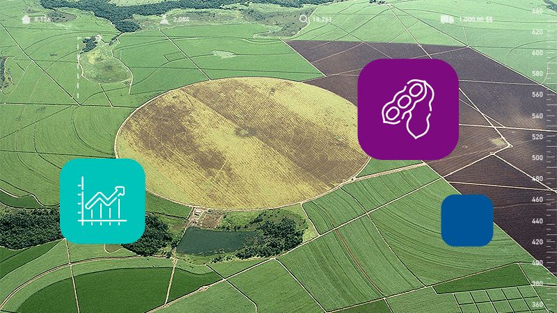 Avaliação de Imóveis Rurais