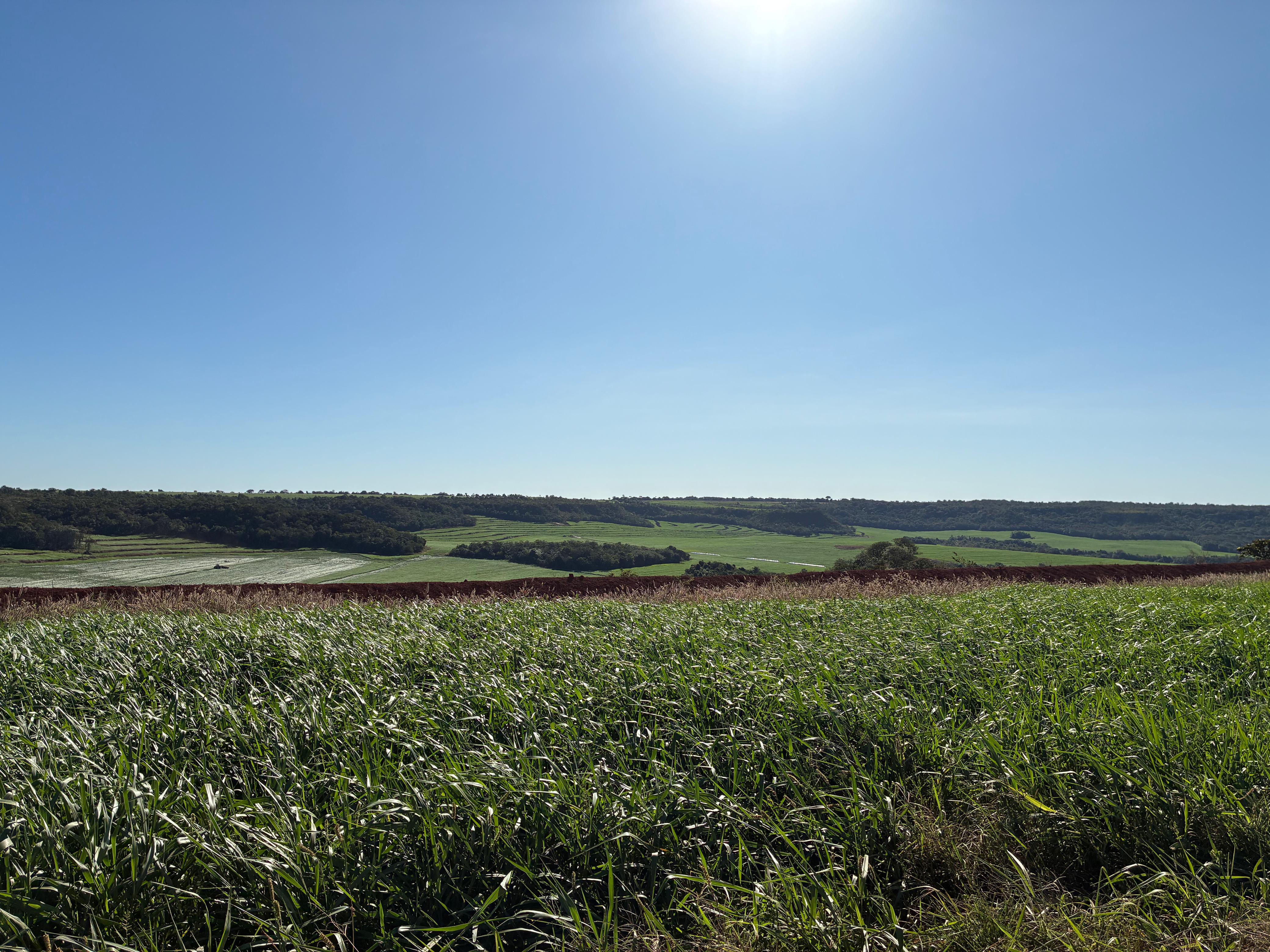 Projetos de Recuperação de Áreas Degradadas